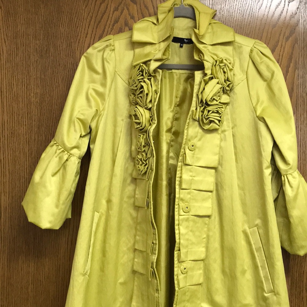 Long Jacket - image 1